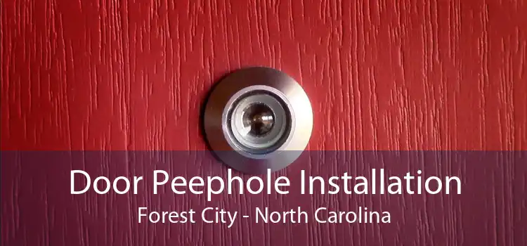 Door Peephole Installation Forest City - North Carolina