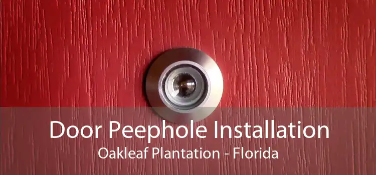 Door Peephole Installation Oakleaf Plantation - Florida