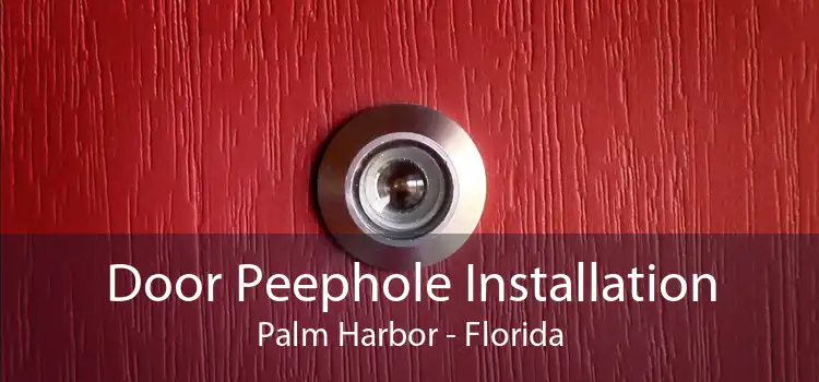 Door Peephole Installation Palm Harbor - Florida