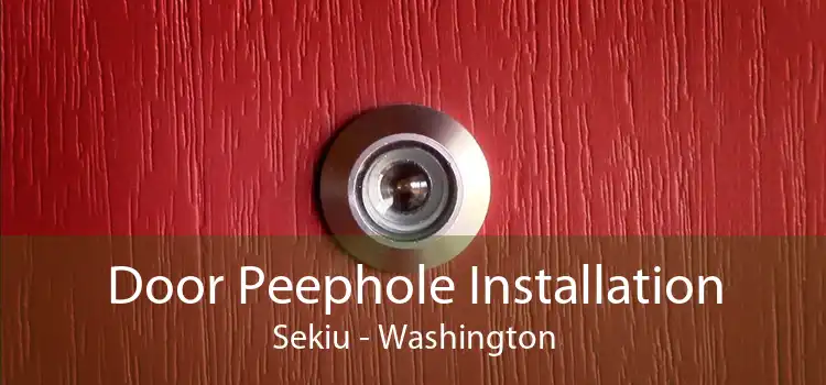 Door Peephole Installation Sekiu - Washington