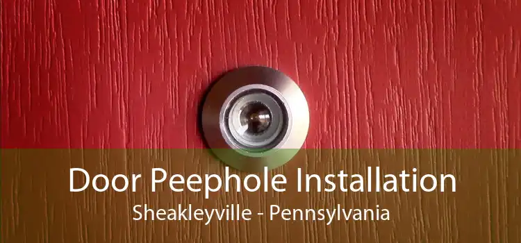 Door Peephole Installation Sheakleyville - Pennsylvania