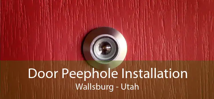 Door Peephole Installation Wallsburg - Utah
