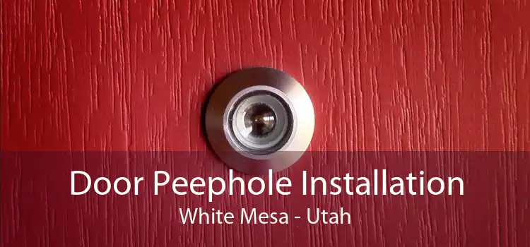 Door Peephole Installation White Mesa - Utah