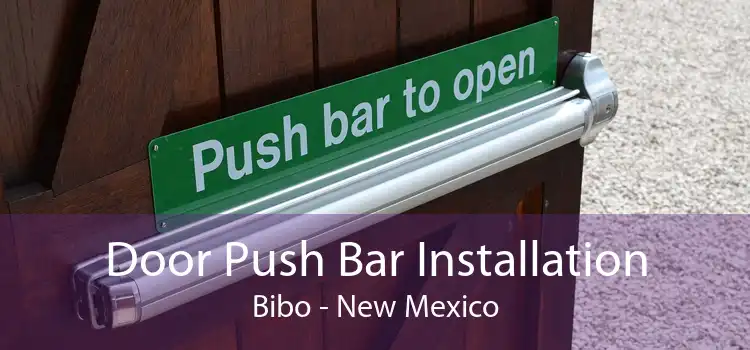 Door Push Bar Installation Bibo - New Mexico