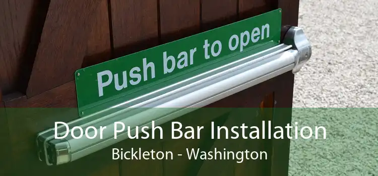 Door Push Bar Installation Bickleton - Washington