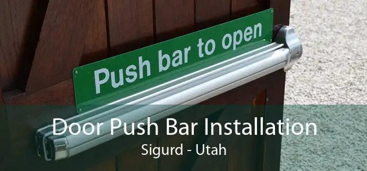 Door Push Bar Installation Sigurd - Utah