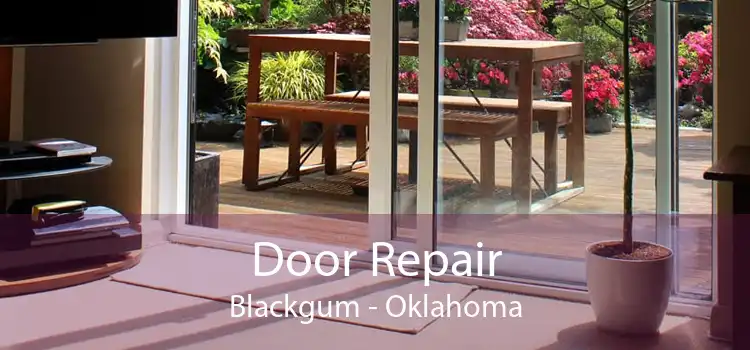 Door Repair Blackgum - Oklahoma