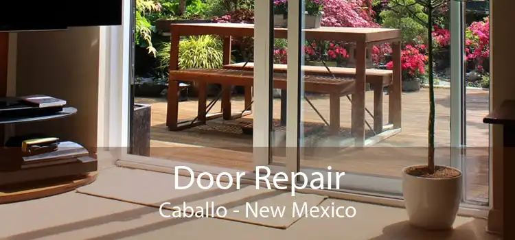 Door Repair Caballo - New Mexico