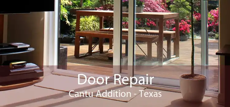 Door Repair Cantu Addition - Texas