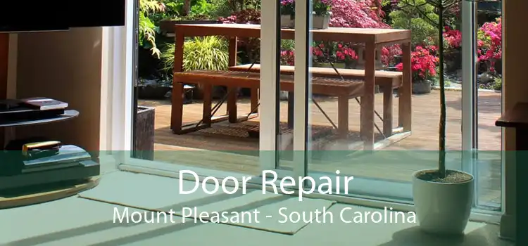 Door Repair Mount Pleasant - South Carolina