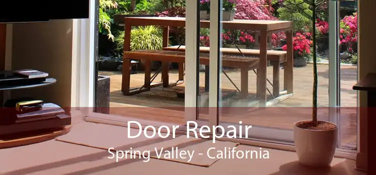 Door Repair Spring Valley - California
