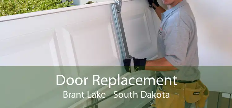 Door Replacement Brant Lake - South Dakota