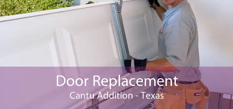 Door Replacement Cantu Addition - Texas