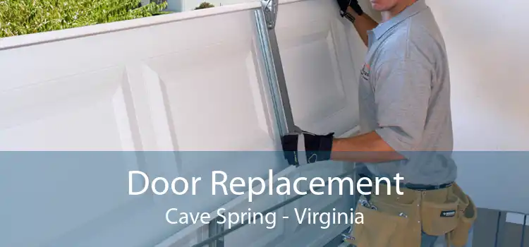 Door Replacement Cave Spring - Virginia