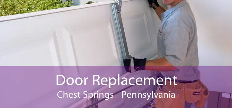 Door Replacement Chest Springs - Pennsylvania
