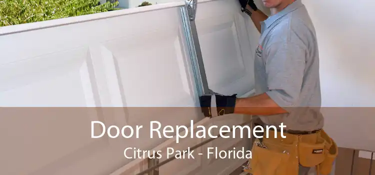 Door Replacement Citrus Park - Florida