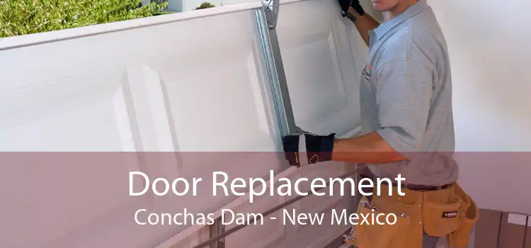 Door Replacement Conchas Dam - New Mexico