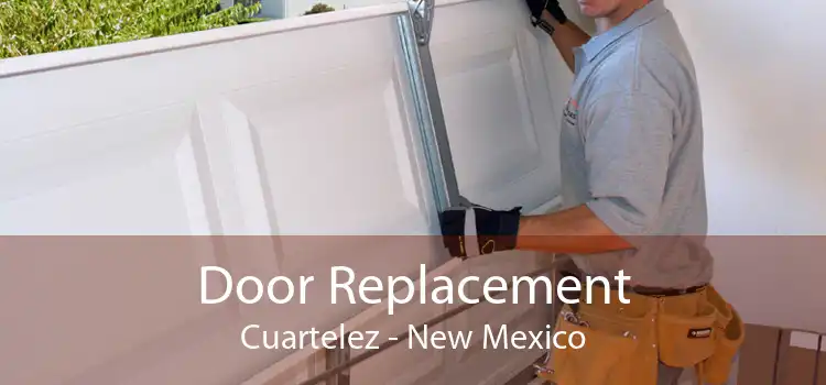Door Replacement Cuartelez - New Mexico
