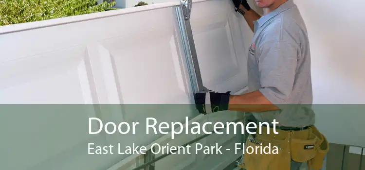 Door Replacement East Lake Orient Park - Florida