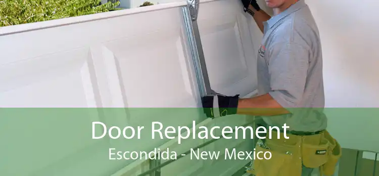 Door Replacement Escondida - New Mexico