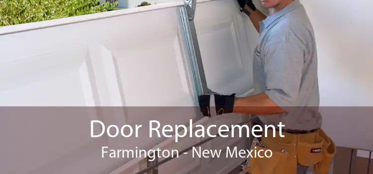 Door Replacement Farmington - New Mexico