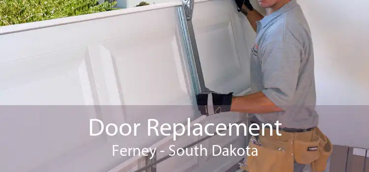Door Replacement Ferney - South Dakota