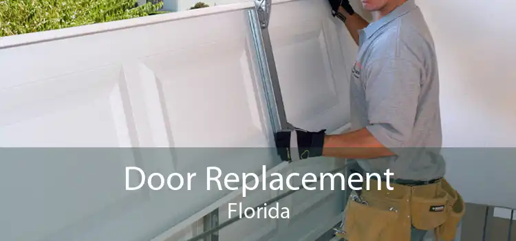 Door Replacement Florida