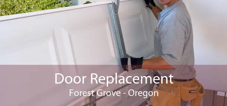 Door Replacement Forest Grove - Oregon