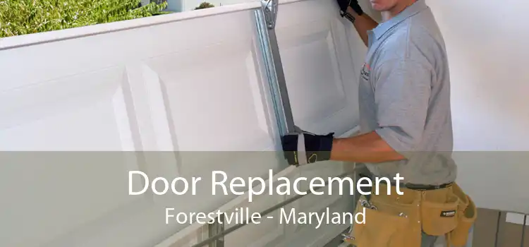 Door Replacement Forestville - Maryland