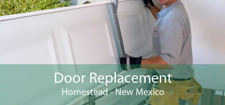 Door Replacement Homestead - New Mexico