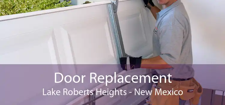 Door Replacement Lake Roberts Heights - New Mexico