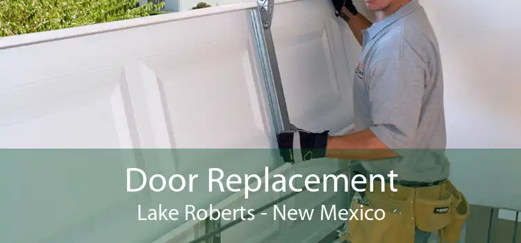 Door Replacement Lake Roberts - New Mexico