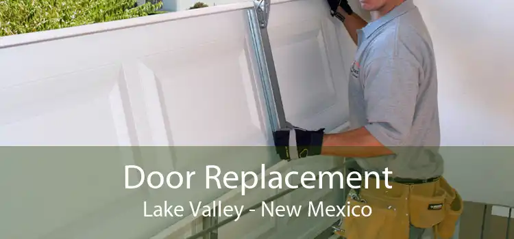 Door Replacement Lake Valley - New Mexico
