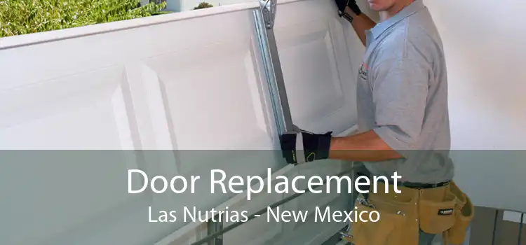 Door Replacement Las Nutrias - New Mexico