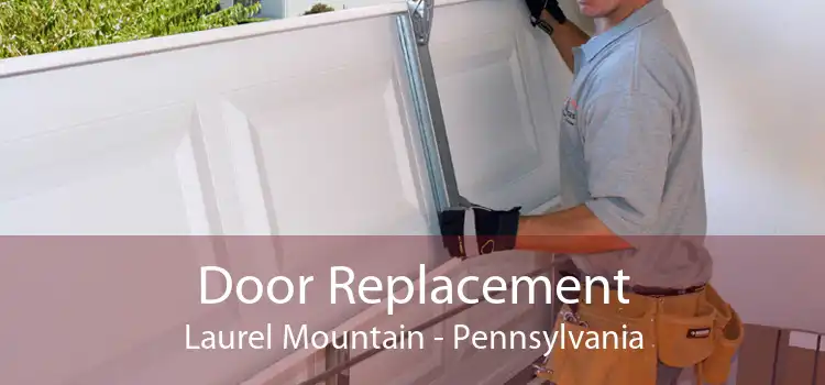 Door Replacement Laurel Mountain - Pennsylvania