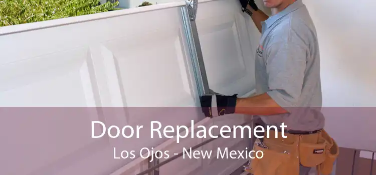 Door Replacement Los Ojos - New Mexico