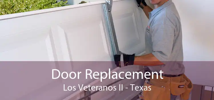 Door Replacement Los Veteranos II - Texas