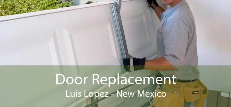 Door Replacement Luis Lopez - New Mexico
