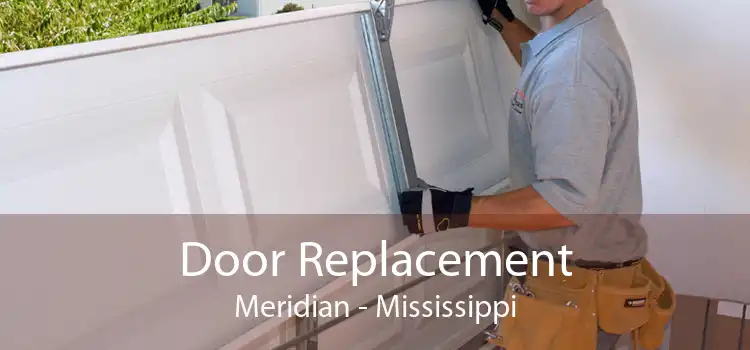 Door Replacement Meridian - Mississippi