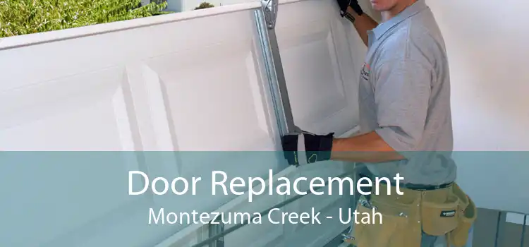 Door Replacement Montezuma Creek - Utah