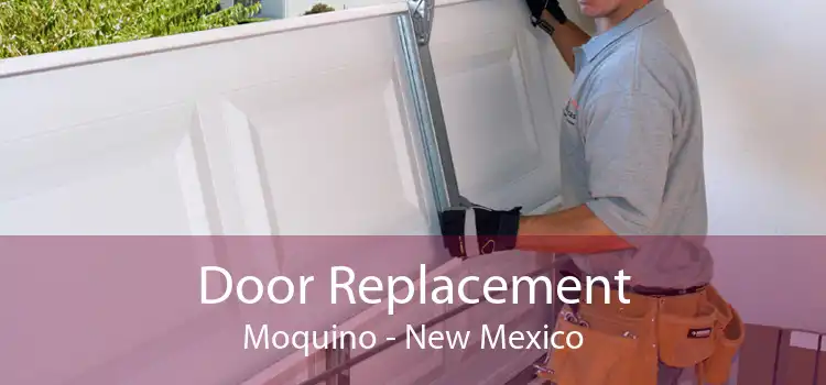 Door Replacement Moquino - New Mexico