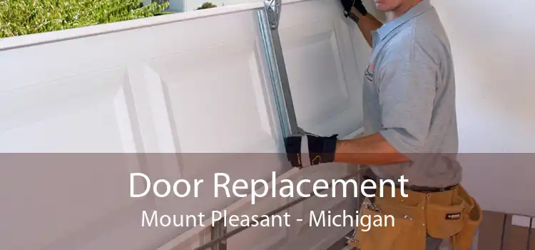 Door Replacement Mount Pleasant - Michigan
