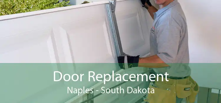 Door Replacement Naples - South Dakota