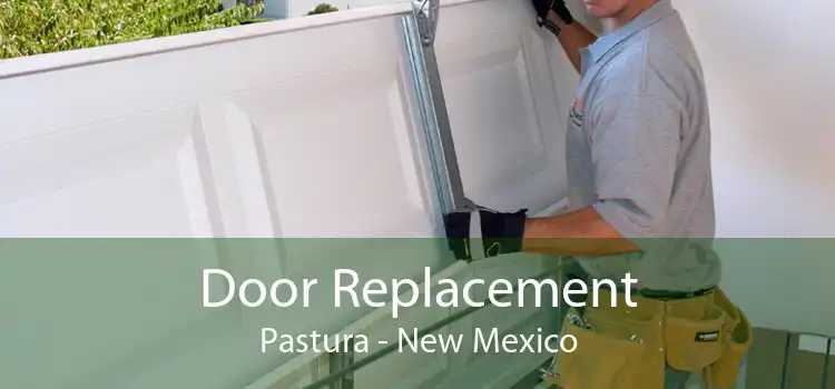 Door Replacement Pastura - New Mexico