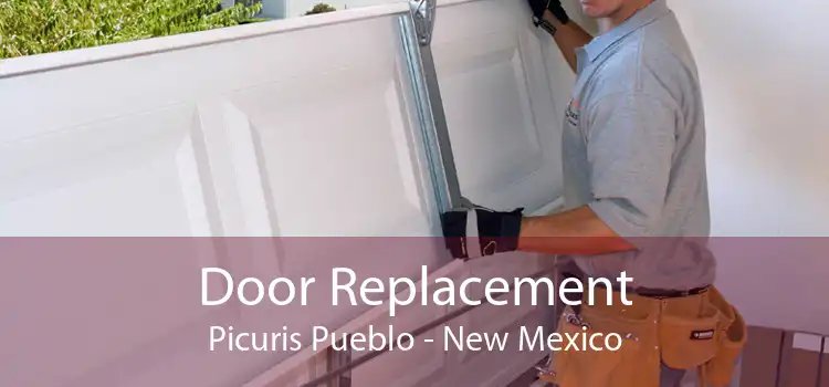 Door Replacement Picuris Pueblo - New Mexico