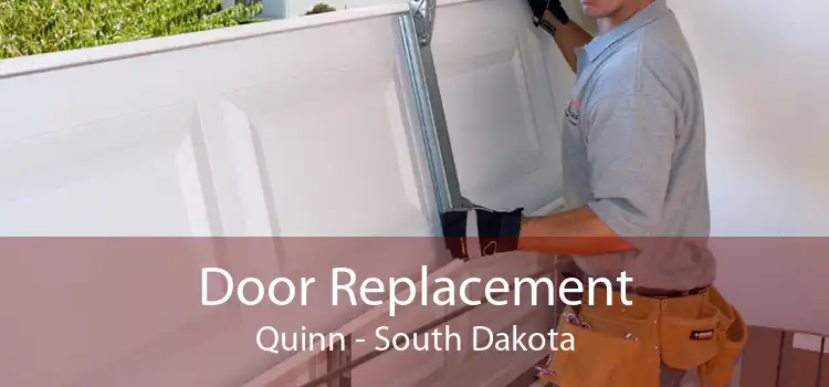 Door Replacement Quinn - South Dakota