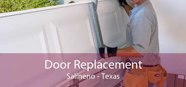 Door Replacement Salineno - Texas