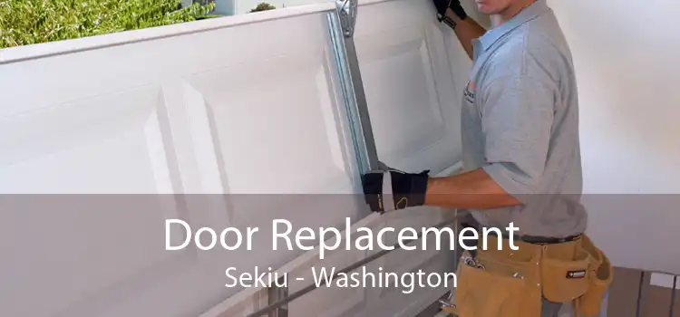 Door Replacement Sekiu - Washington