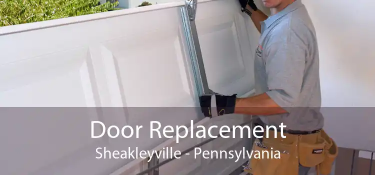 Door Replacement Sheakleyville - Pennsylvania