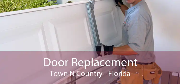 Door Replacement Town N Country - Florida